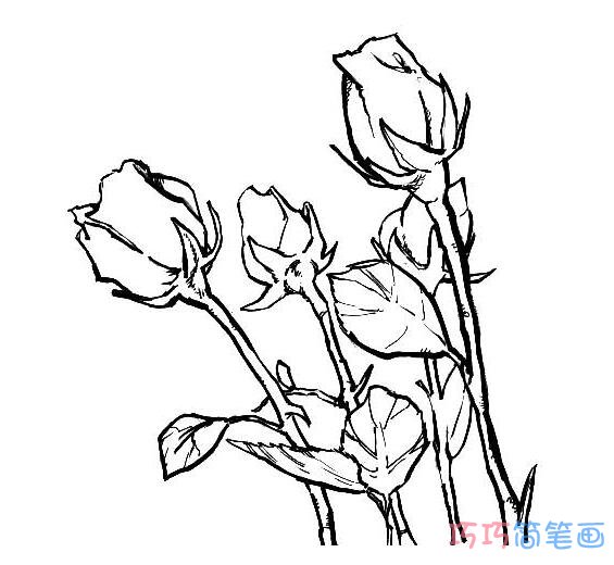 玫瑰花素描怎么画好看_玫瑰花简笔画图片