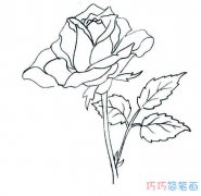 如何才能画出漂亮的玫瑰花_玫瑰花简笔画图片