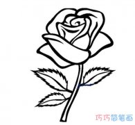 立体的玫瑰花怎么画好看_玫瑰花简笔画图片