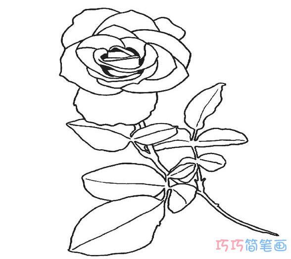 一朵美丽的玫瑰花_玫瑰花简笔画图片