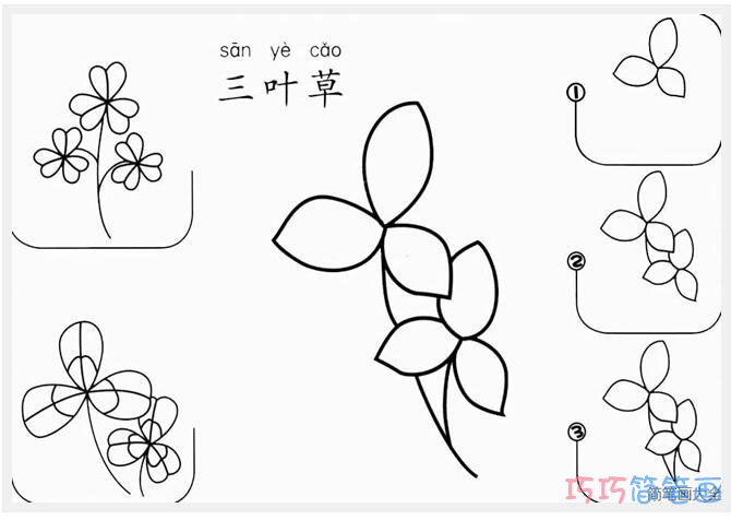 怎么画简单的三叶草步骤图_树叶简笔画图片