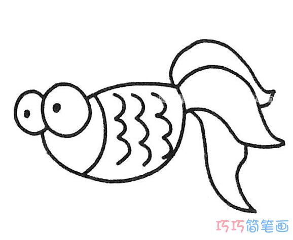 卡通金鱼怎么画简洁可爱_金鱼简笔画图片