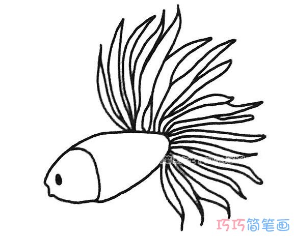 幼儿孔雀鱼怎么画简单可爱_孔雀鱼简笔画图片