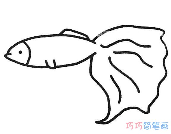 幼儿孔雀鱼怎么画简单可爱_孔雀鱼简笔画图片