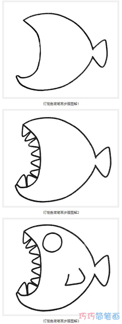 卡通灯笼鱼要怎么画带步骤_好看灯笼鱼简笔画图片
