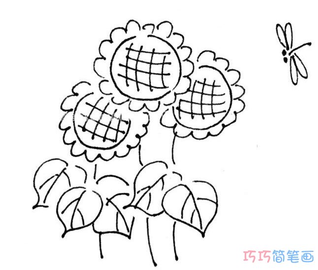 一束美丽的向日葵花_向日葵简笔画图片