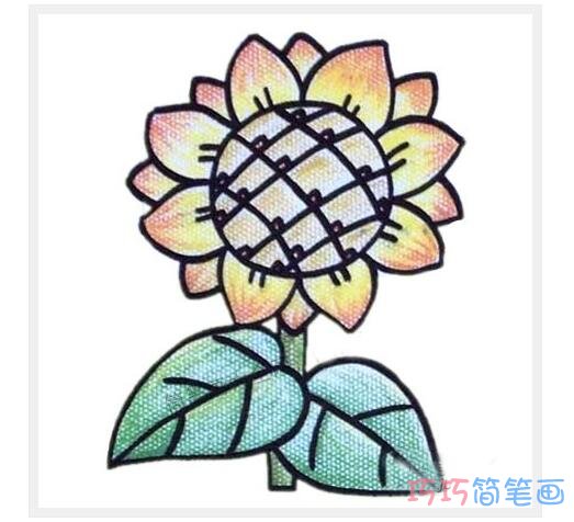 美丽向日葵花朵素描_向日葵简笔画图片