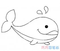 喷水花鲸鱼要怎么画好看可爱_鲸鱼简笔画图片