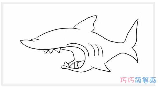 大鲨鱼要怎么画好画简单_凶猛大鲨鱼简笔画图片