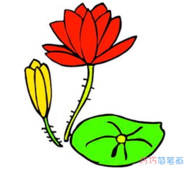 简单漂亮的莲花怎么画涂颜色_荷花简笔画图片