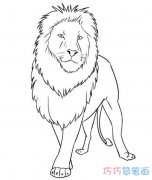 卡通大狮子怎么画正面简单素描_狮子简笔画图片