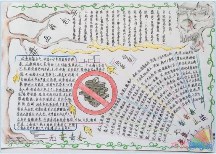 初中生的禁毒手抄报简单模板_禁毒手抄报图片