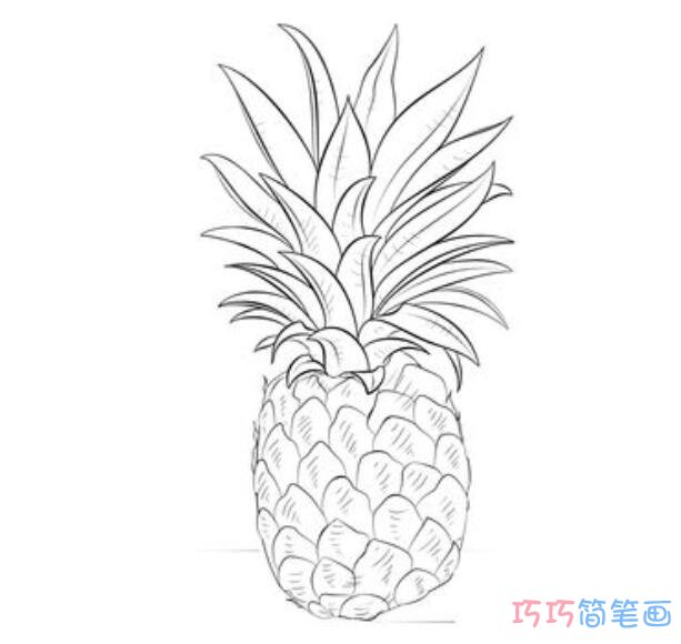 如何简单快速地画出一颗菠萝_菠萝简笔画图片
