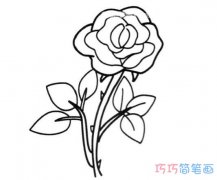 带刺的玫瑰花怎么画简单漂亮_玫瑰花简笔画图片