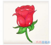 美艳红玫瑰怎么画好看涂颜色_玫瑰花简笔画图片