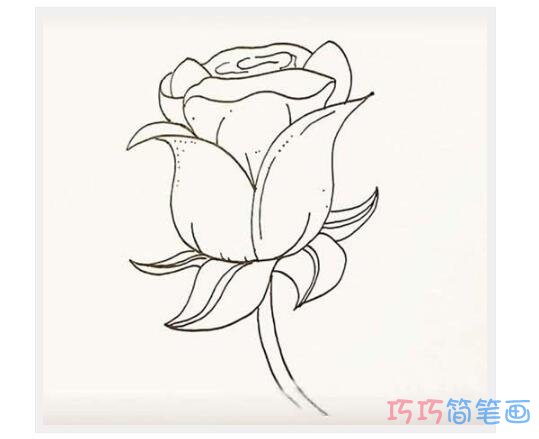 美艳红玫瑰如何画更简单_玫瑰花简笔画图片