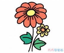 彩色漂亮菊花的画法步骤图简单_菊花简笔画图片