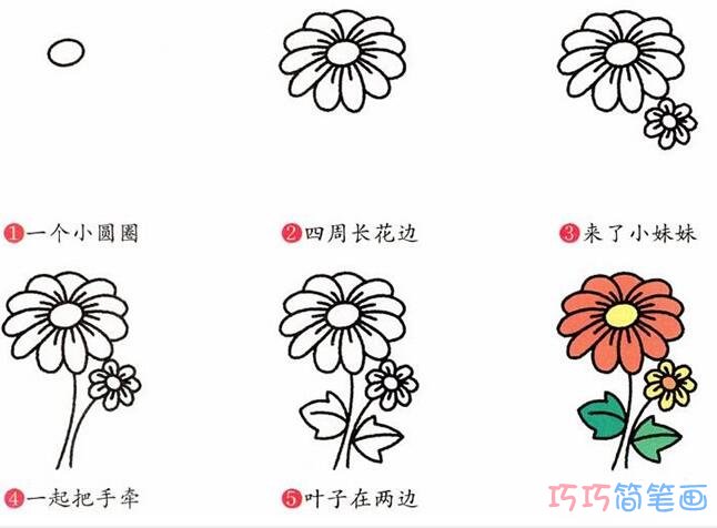 带颜色菊花的画法步骤图_菊花简笔画图片