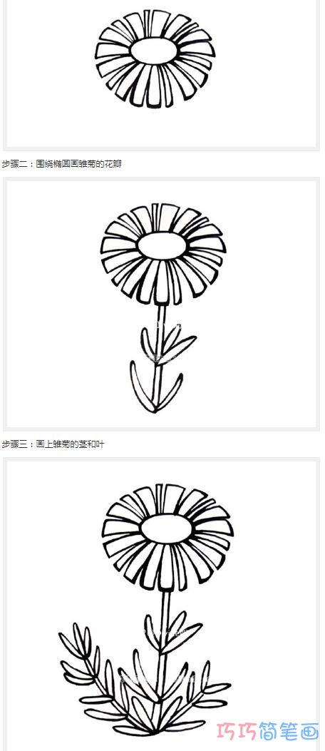 超级写实黄色雏菊步骤图_菊花简笔画图片