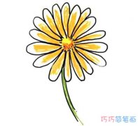 儿童简单好看雏菊怎么画带颜色_菊花简笔画图片