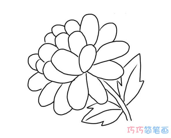 菊花步骤图怎么画更好看_菊花简笔画图片