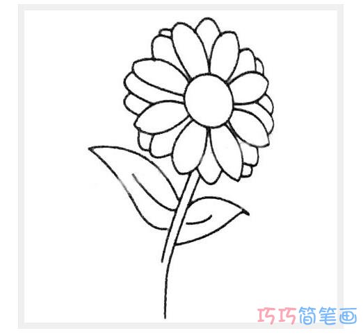 简单的菊花怎么画