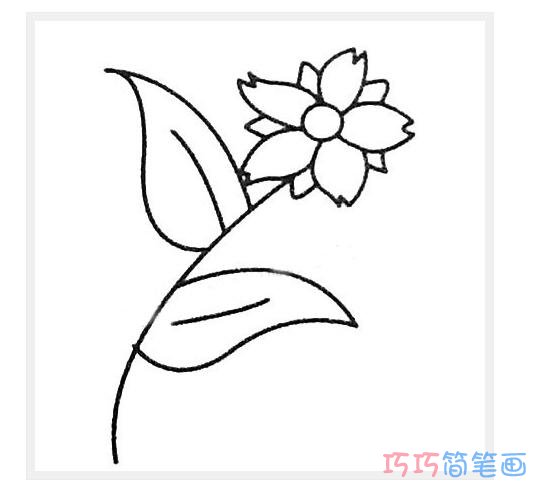 儿童超简单的菊花简笔画_菊花简笔画图片