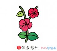 漂亮红色梅花的画法步骤图_梅花简笔画图片