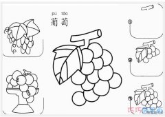 紫色葡萄要怎么画简单_带步骤葡萄简笔画图片