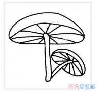 可爱小蘑菇怎么画简单漂亮_蘑菇简笔画图片