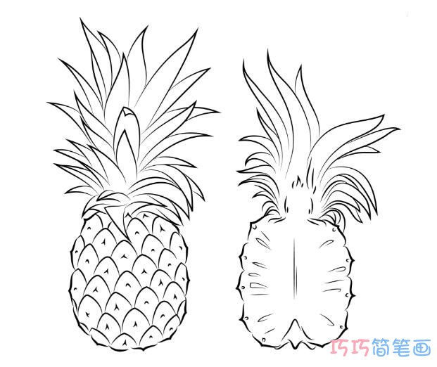 简单易学卡通菠萝画法_菠萝简笔画图片