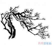 如何画美丽的梅花简单涂色_梅花简笔画图片