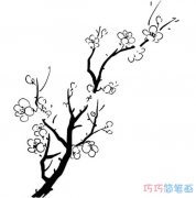 简单又漂亮梅花的画法素描_梅花简笔画图片