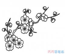 如何画最简单的梅花素描_梅花简笔画图片