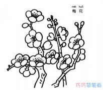 儿童漂亮的梅花怎么画素描_梅花简笔画图片