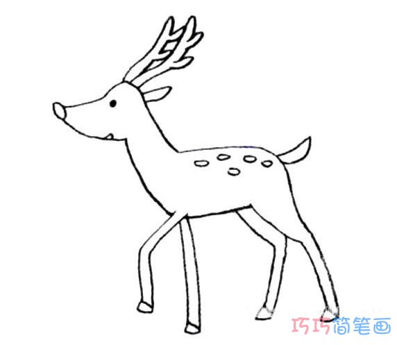 幼儿梅花鹿怎么画简洁好画_梅花鹿简笔画图片