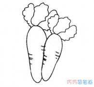 简单两颗萝卜怎么画好看素描_萝卜简笔画图片