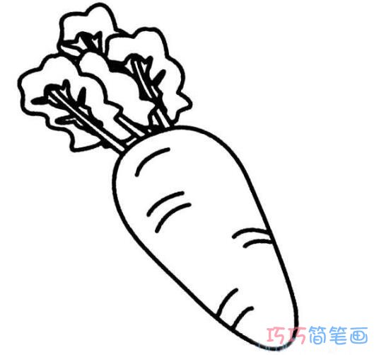 萝卜怎么画好看简单_萝卜简笔画图片