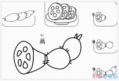 卡通莲藕的画法步骤图简单_萝卜简笔画图片