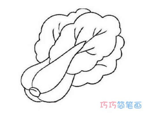 小学生简易卡通大白菜画法_大白菜简笔画图片