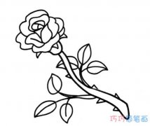 带刺的玫瑰怎么画简单漂亮_玫瑰简笔画图片