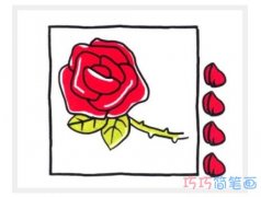 美丽红玫瑰的画法步骤图彩色_玫瑰简笔画图片