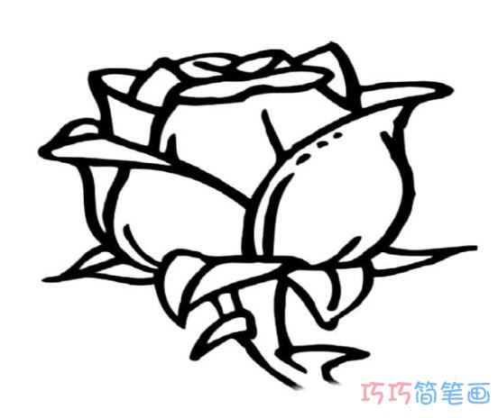 美丽的玫瑰花苞如何画_玫瑰简笔画图片