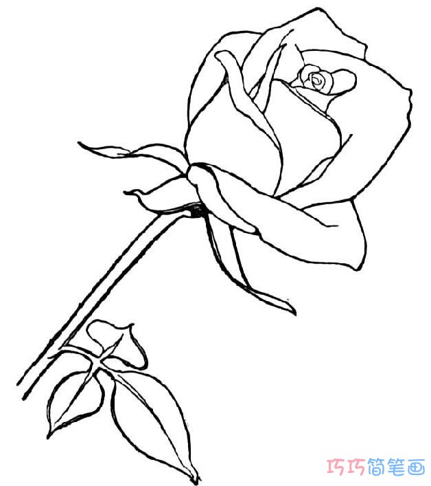 儿童简单玫瑰花素描美丽_玫瑰简笔画图片