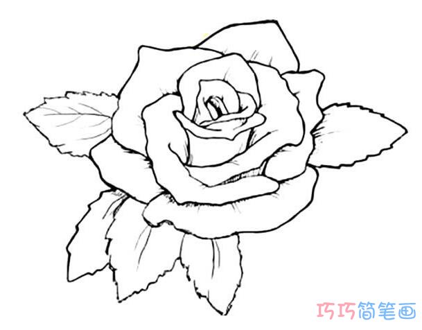 怎么样画大朵又美丽的玫瑰花_玫瑰简笔画图片