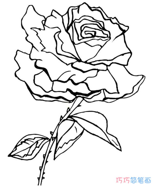 怎么样画大朵又美丽的玫瑰花_玫瑰简笔画图片