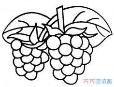 成熟葡萄的画法素描简单漂亮_葡萄简笔画图片