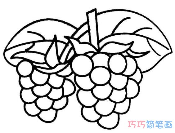 成熟葡萄要怎么画好看简洁_葡萄简笔画图片