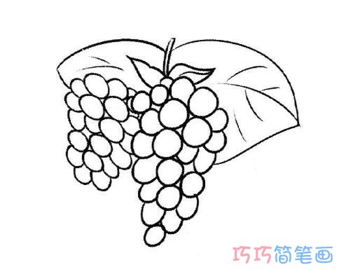 成熟葡萄要怎么画好看简洁_葡萄简笔画图片