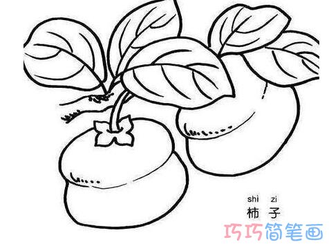 红彤彤柿子要怎么画简单好画_柿子简笔画图片